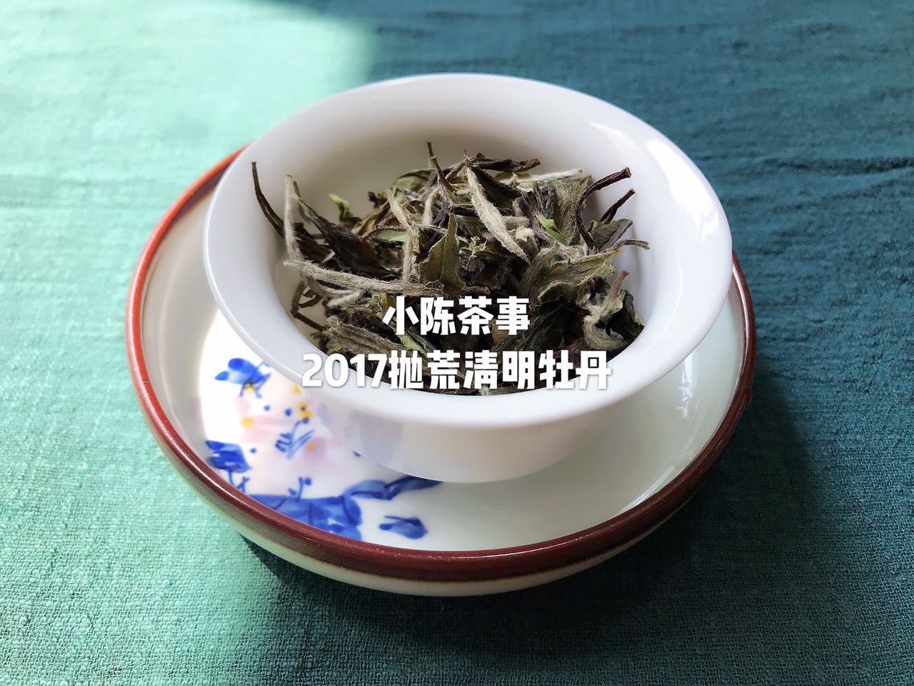 想了解白茶,花五分钟读完白茶这十个特点!