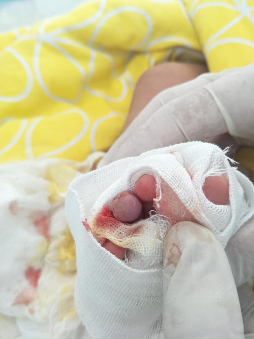 物业管理条例关于电动车停放新规,河南物业新规最新政策