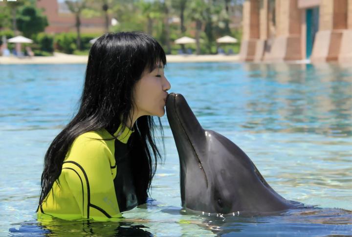 迪拜土豪真多街上全是豪车,迪拜土豪除了豪车还有什么