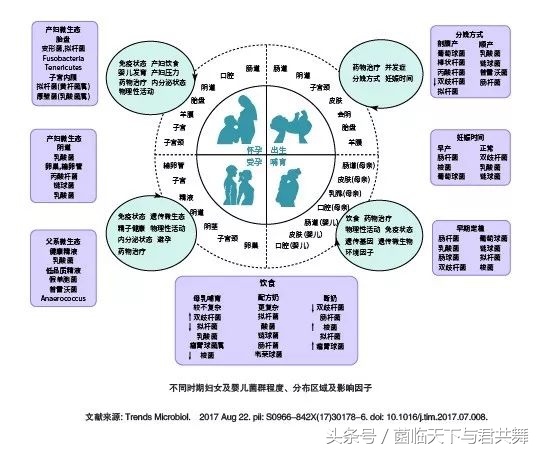与君共舞外用益生菌,益生菌对孕产妇的功效