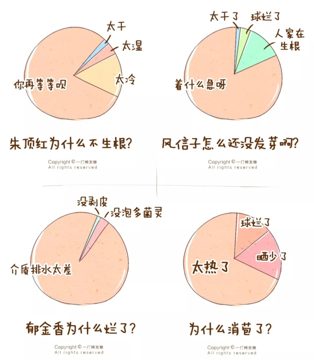你也想拥有一个繁花似锦的春天?有这份球根种植笔记就够了