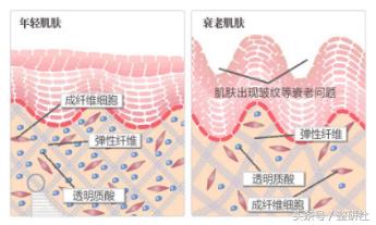 灿烂轻*女熟**养成计——修复细纹