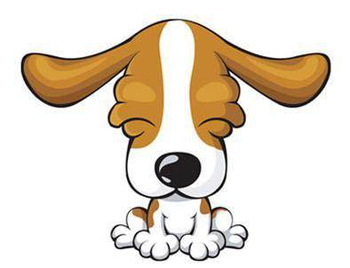 狗年下一年犯太岁,狗年明年犯太岁