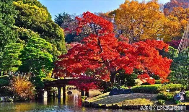 东京jr山手线详解,东京jr山手线报站