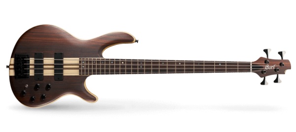 最全吉他类型解析,万万没想到贝斯