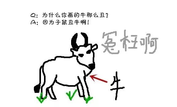 猫和狗的祖先是同一种,猫和狗的祖先进化史