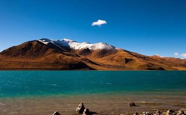 猫和狗的祖先是同一种,猫和狗的祖先进化史