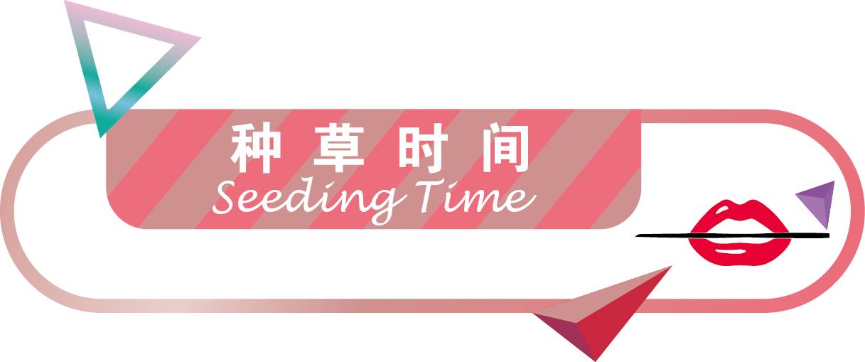 这支火遍ins的口红居然是国货,好用到炸的国货口红