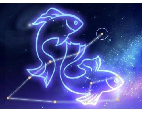 为人强势但不让人反感的四个星座,最让人讨厌的五个星座