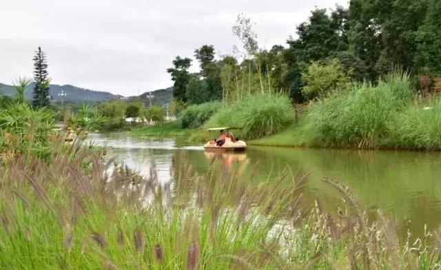冬天成都两天来回得哪里去玩,成都3-5天短途旅游推荐
