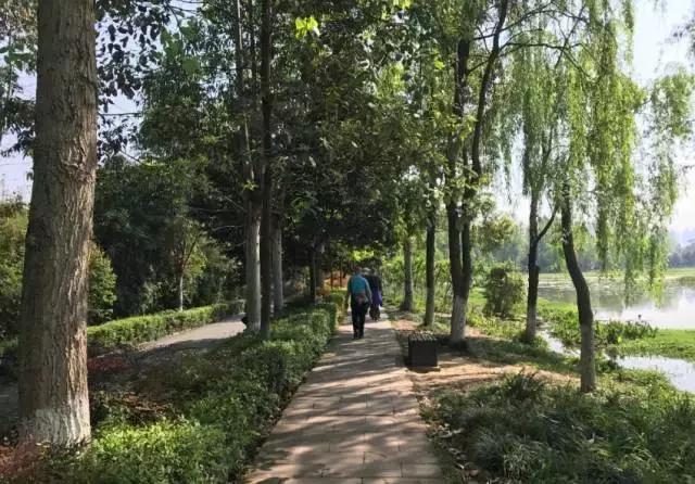 冬天成都两天来回得哪里去玩,成都3-5天短途旅游推荐