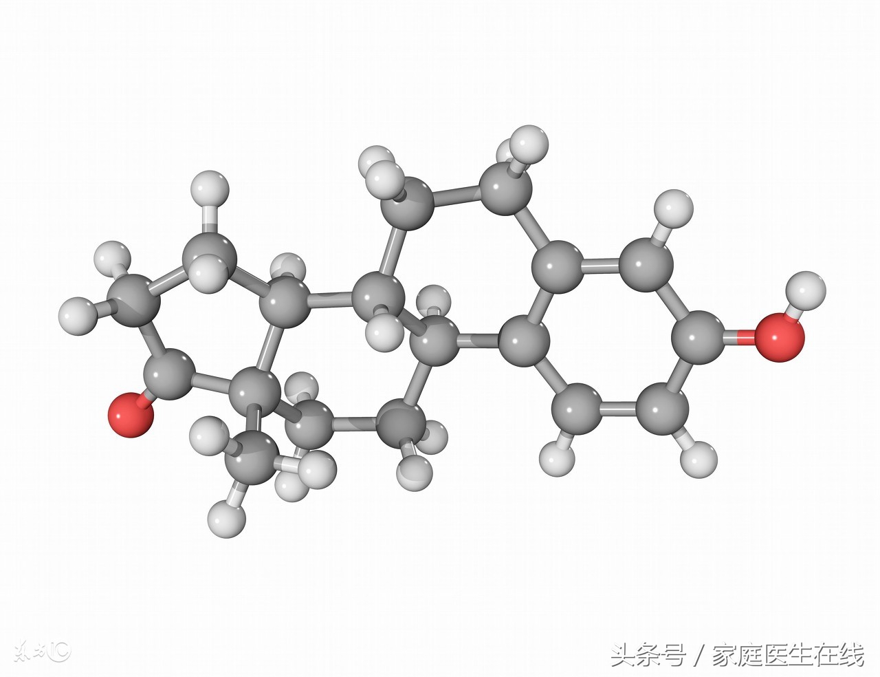 变性者可以生育吗,变性的人能生孩子吗