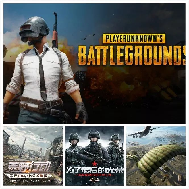 以太坊养猫详解,云养猫以太坊最新消息