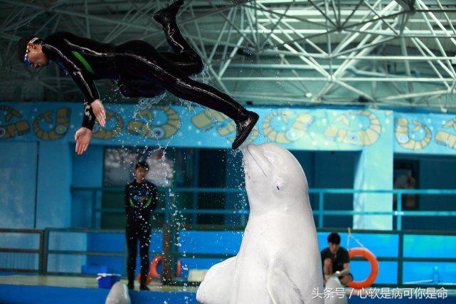 国内适合孩子去的主题乐园,国内好玩的主题乐园有哪些