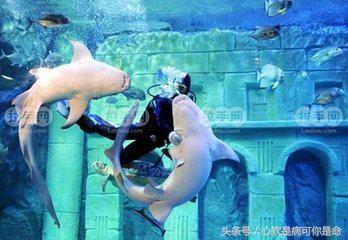 国内适合孩子去的主题乐园,国内好玩的主题乐园有哪些