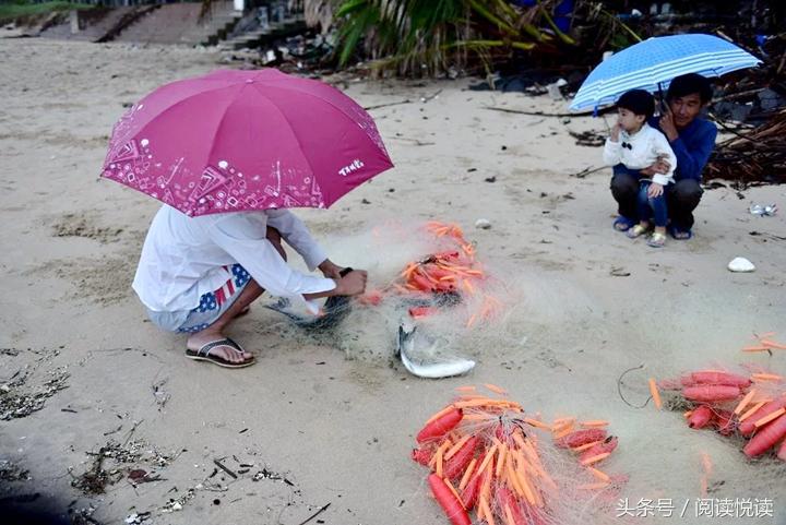 海南东郊椰林旅游攻略,海南静谧的椰林