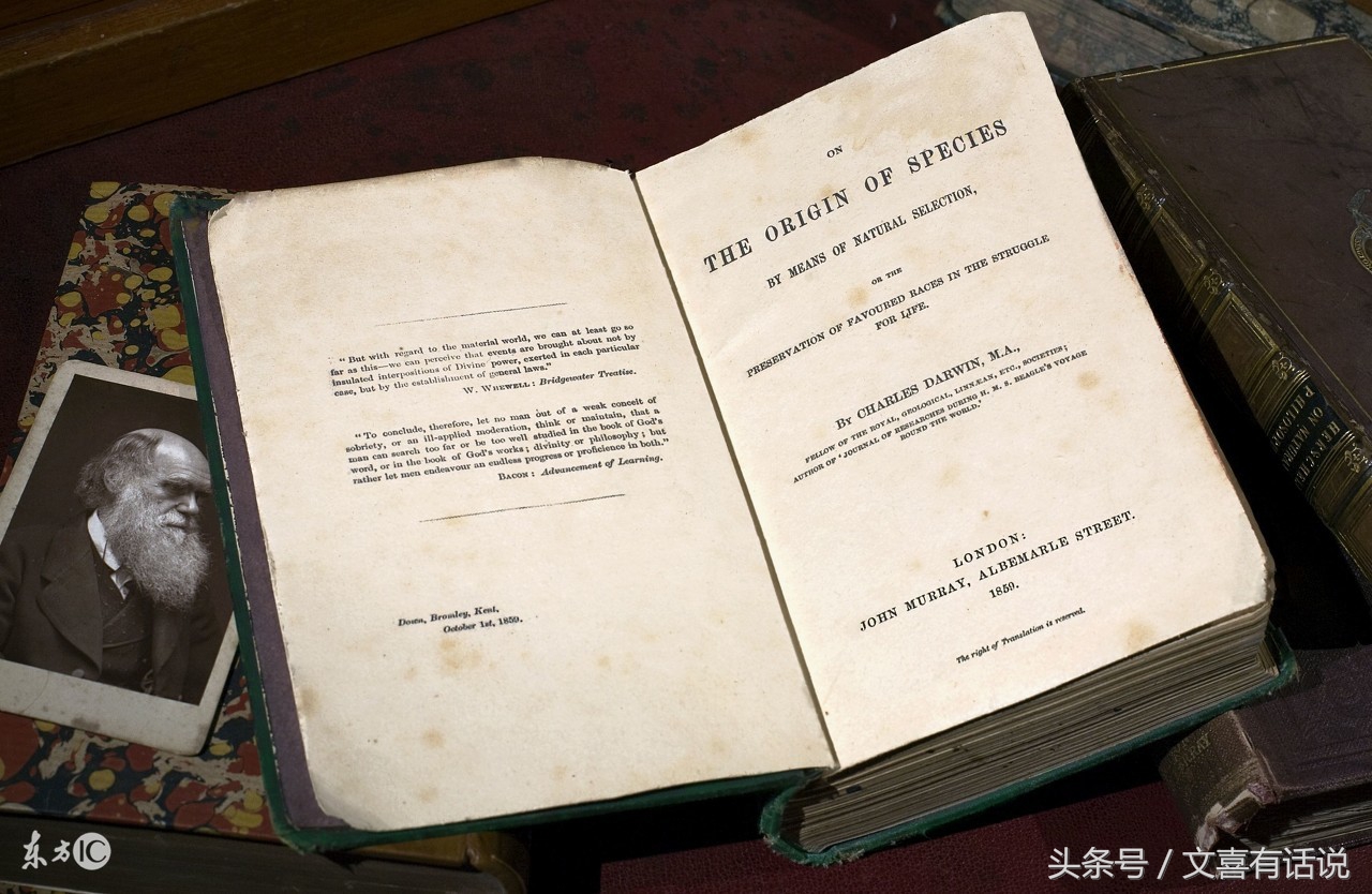 达尔文进化论很多现象解释不通,达尔文进化论是最大的伪科学吗