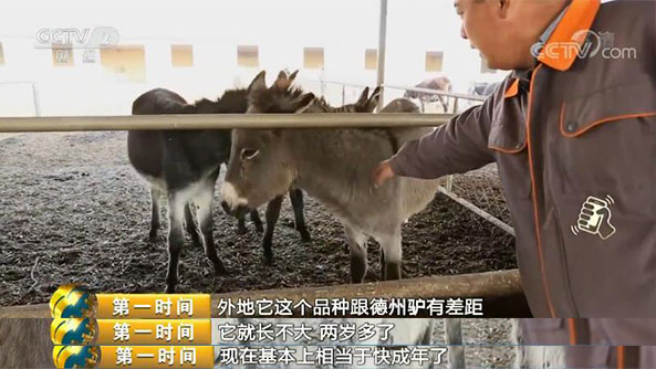 <html>
<head><title>502BadGateway</title></head>
<body>
<center><h1>502BadGateway</h1></center>
<hr><center>nginx</center>
</body>
</html>
<!--apaddingtodisableMSIEandChromefriendlyerrorpage-->
<!--apaddingtodisableMSIEandChromefriendlyerrorpage-->
<!--apaddingtodisableMSIEandChromefriendlyerrorpage-->
<!--apaddingtodisableMSIEandChromefriendlyerrorpage-->
<!--apaddingtodisableMSIEandChromefriendlyerrorpage-->
<!--apaddingtodisableMSIEandChromefriendlyerrorpage-->
