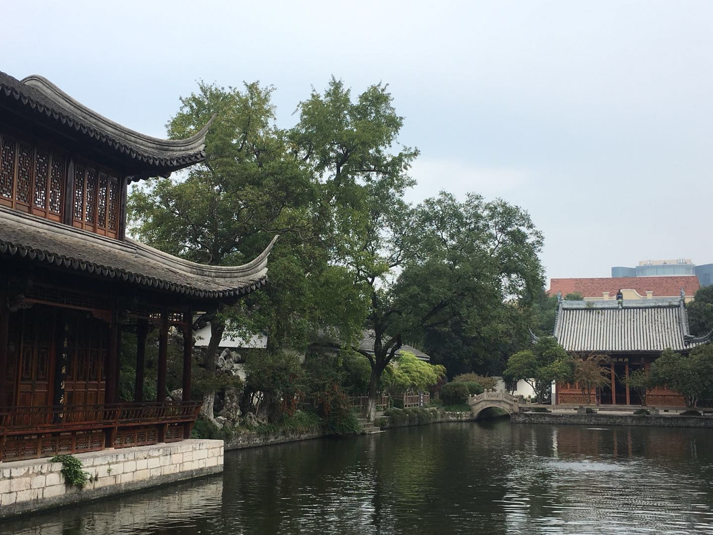 这棵银杏树,经历过湘军烧毁太平天国天王府的那把大火吗?