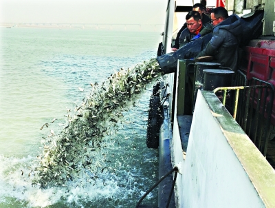 2019武汉电视问政回放,武汉电视问政每周面对面2021