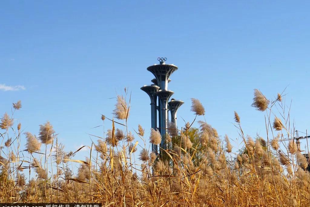 北京什么公园免费景点最多,北京又有什么好玩的景点