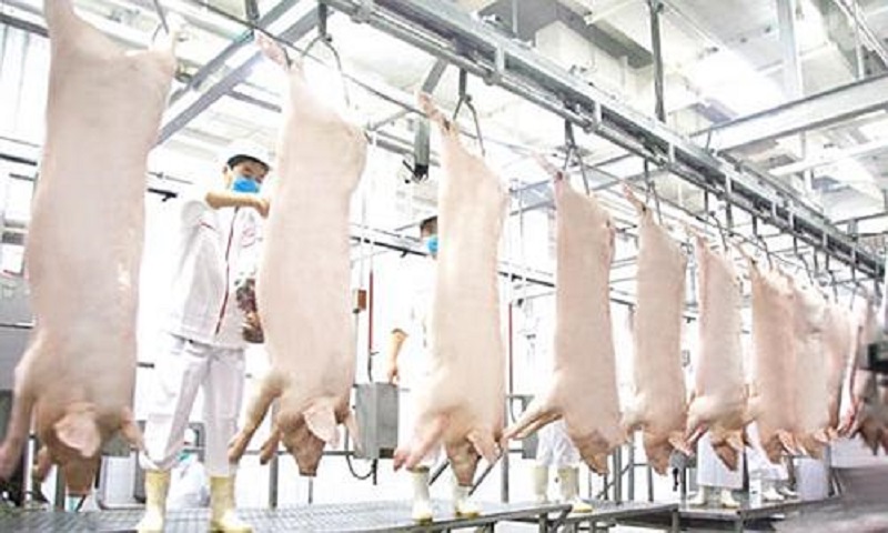 生猪屠宰场涉食品安全案件,猪肉类食品安全事件案例