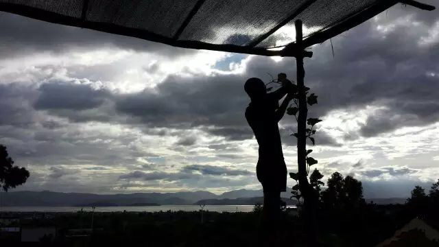 因为爱情，让旅途中的他们留在了大理