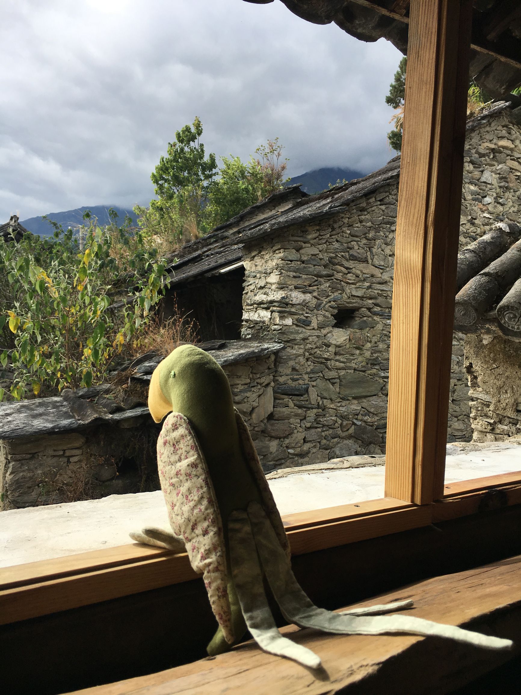 因为爱情，让旅途中的他们留在了大理