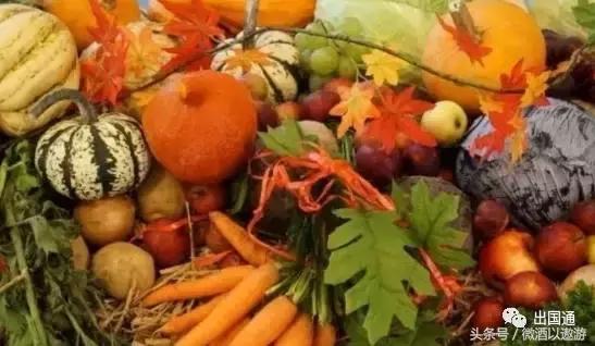 到新西兰入境禁带品有哪些,十大禁止入境品