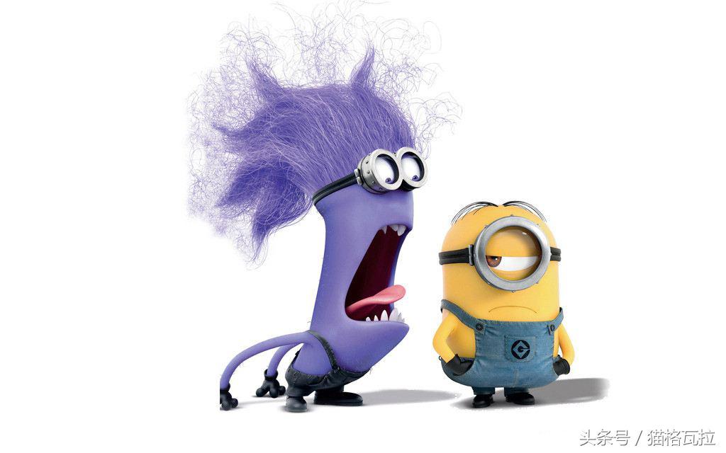 ta可以萌你一脸血不偿命,也有着你不知道的十个秘密