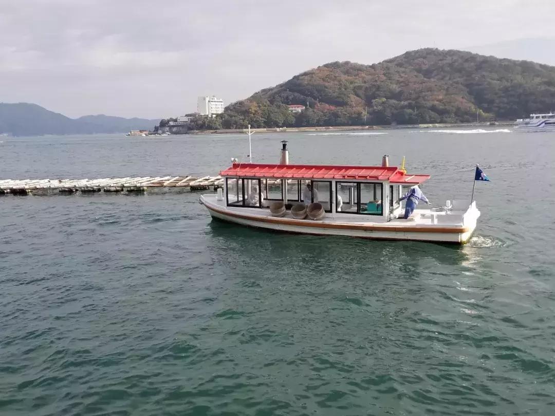 中北部升龙道深度游攻略,日本龙岛旅游攻略