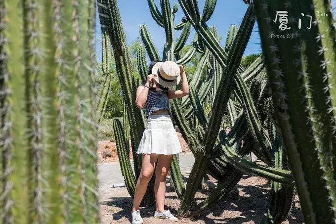 一起去厦门旅游攻略,旅游团厦门看海攻略