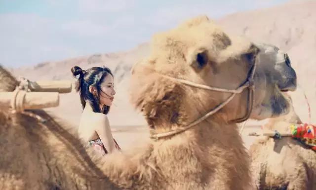 爱旅行的女人为什么保持少女状态,爱旅行的女人是什么性格