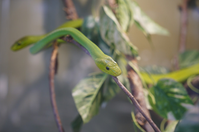 科罗拉多州到洛杉矶,科罗拉多州五月自驾