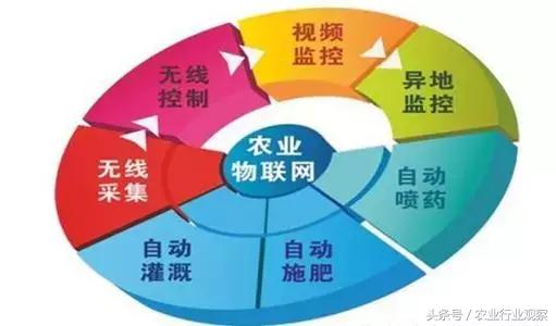 创业小项目农业互联网,农业零成本创业新点子