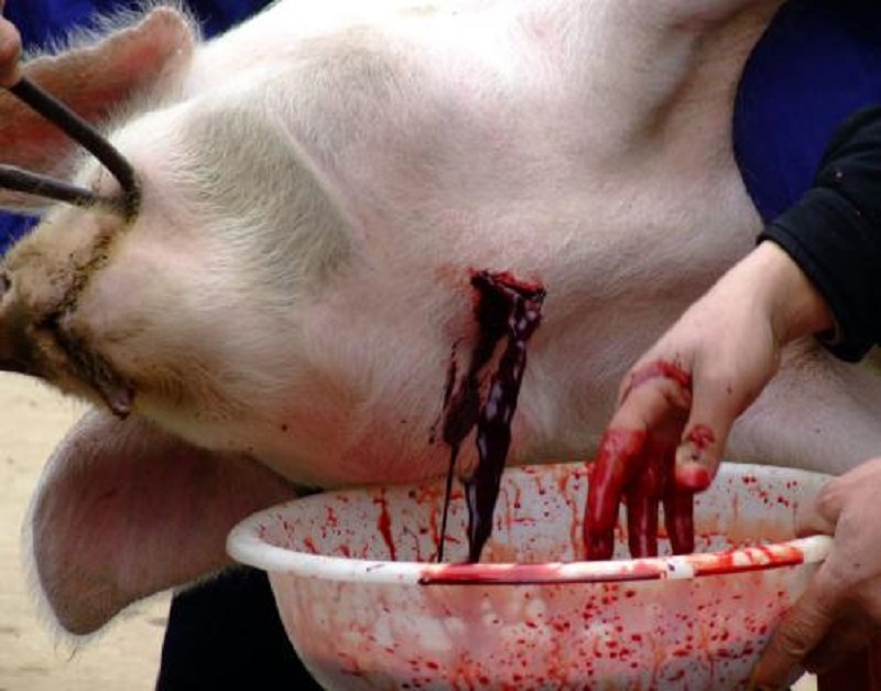 生猪屠宰场涉食品安全案件,猪肉类食品安全事件案例