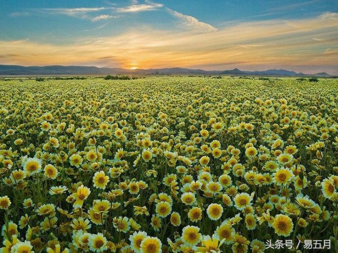 男女之间有真正的蓝颜知己么,如何找到另一半的蓝颜知己