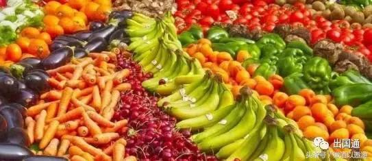 到新西兰入境禁带品有哪些,十大禁止入境品