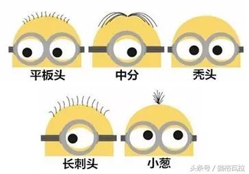 ta可以萌你一脸血不偿命,也有着你不知道的十个秘密