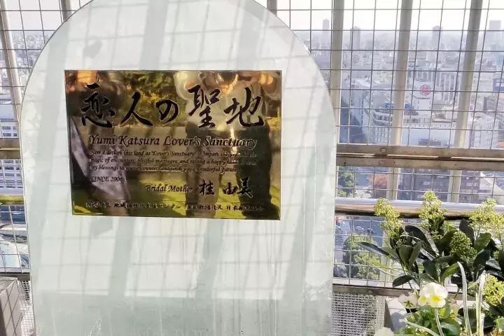 中北部升龙道深度游攻略,日本龙岛旅游攻略