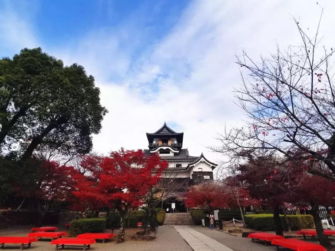 中北部升龙道深度游攻略,日本龙岛旅游攻略