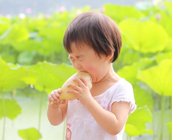 洪湖80后夫妻网络直播挖藕,“青泥巴”里一年淘金600万