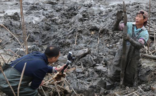 洪湖80后夫妻网络直播挖藕,“青泥巴”里一年淘金600万