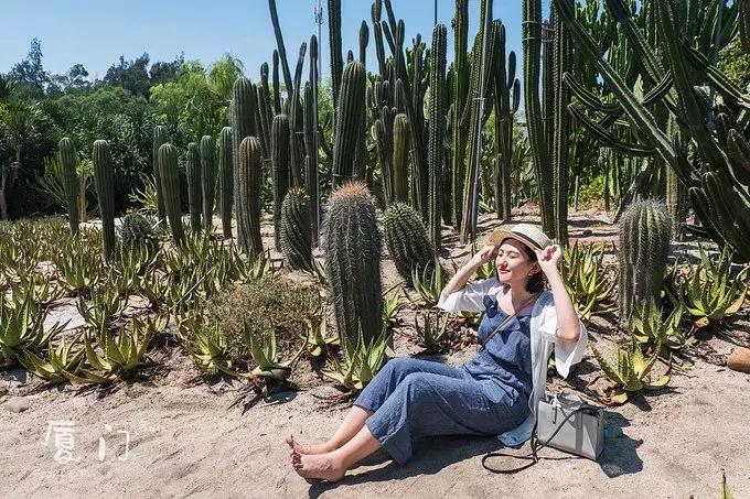 一起去厦门旅游攻略,旅游团厦门看海攻略