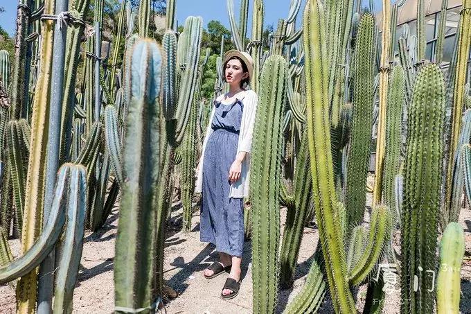 一起去厦门旅游攻略,旅游团厦门看海攻略