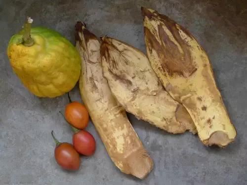 千年古银杏树腾冲界头,千年银杏树王的图片