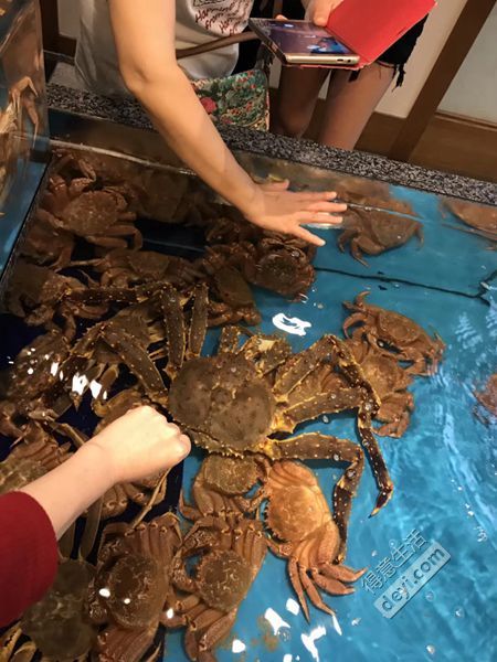 日本第一次去东京要注意什么,去日本大阪一周攻略