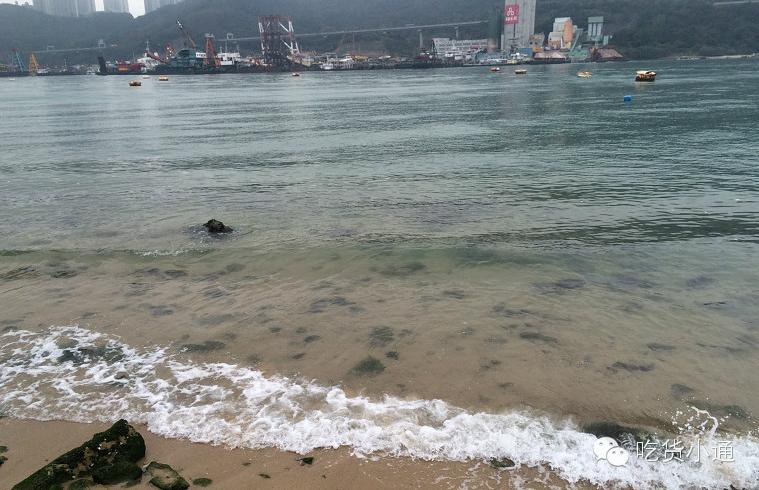 终于吃到了!排了1个小时队!王菲、梁朝伟,这里也去过