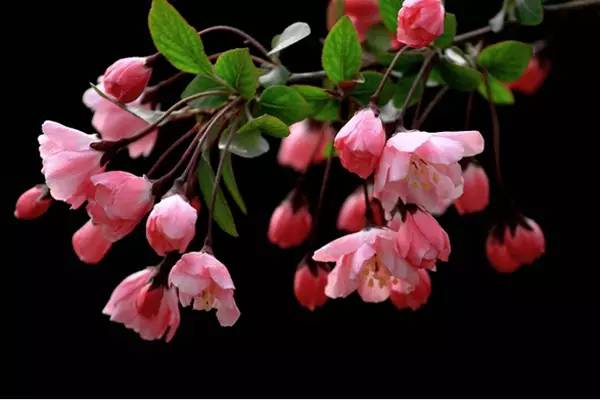 河南旅游景点及门票价格表大全,河南省旅游景点及门票价格表查询