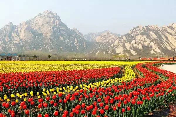 河南旅游景点及门票价格表大全,河南省旅游景点及门票价格表查询